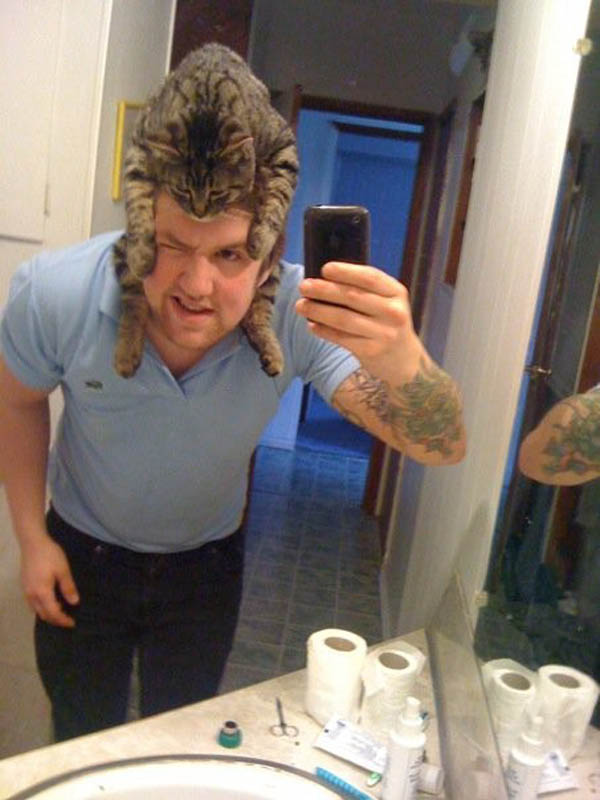 Cat Hair Club for Men: I