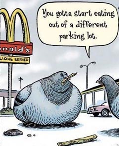 180