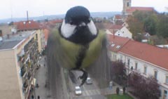 180
