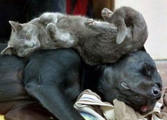 180