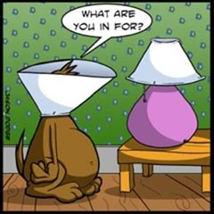 180