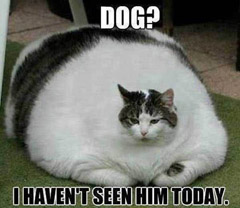 180