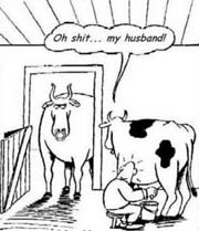 180